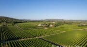 Domaine Le Novi