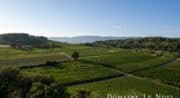 Domaine Le Novi