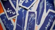 Cyanotype