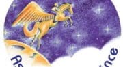 association le petit prince