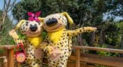 Parc Spirou Provence_Monteux