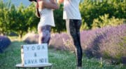 Yoga dans les lavandes