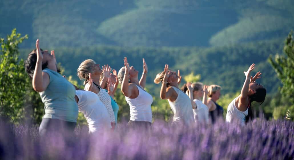 Yoga dans les lavandes