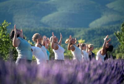 Yoga dans les lavandes