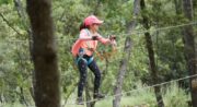 Parc accrobranche Forest Sensation