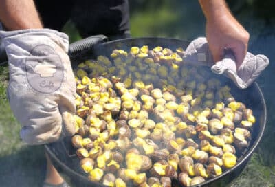 L’escargot des Valanques
