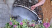 Aroma'plantes
