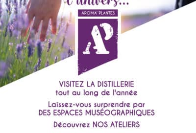 Visite de la distillerie Aroma’plantes_Sault