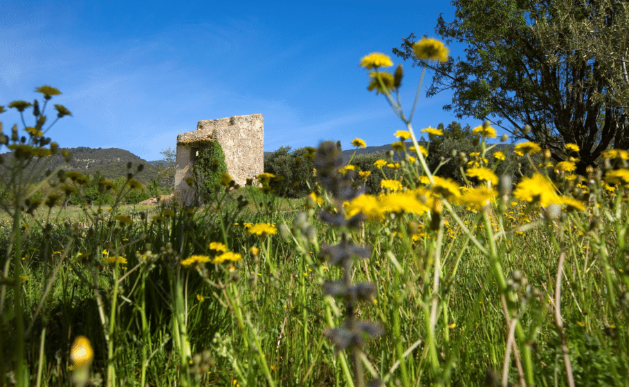 Peypin d'aigues