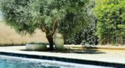 Sweet Home Provence