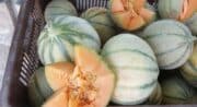 Melons