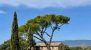 Oh my Deuche, location 2cv - Balades en Provence_La Bastide-des-Jourdans