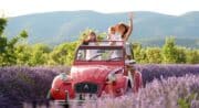 Oh my deuche - Sud Luberon Tourisme