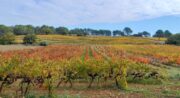 Couleurs d'Automne