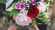 Pétales de Rose