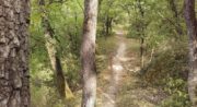 Parcours VTT Grambois
