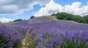 Horizons Luberon – Collectif d&rsquo;accompagnateurs en Montagne