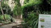 Arboretum