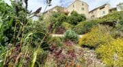 Jardin des Plantes Tinctoriales