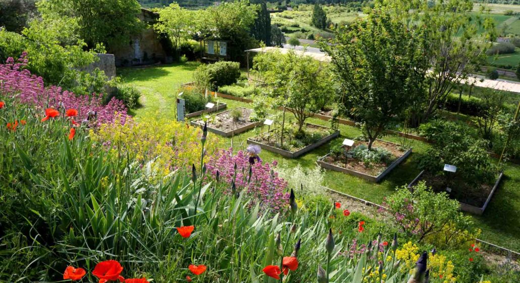 Jardin des Plantes Tinctoriales