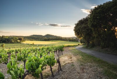 Domaine de Beauvence
