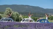 L&rsquo;expérience lavande  et immersion avec l&rsquo;agriculteur en 2cv avec Oh My Deuche