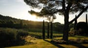 Château La Verrerie