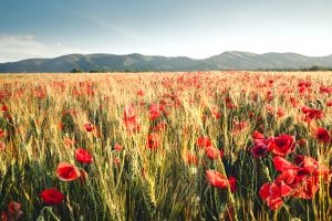 Carte-luberon-detaillee-luberon-sud-tourisme