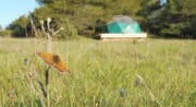 Dôme géodésique Camping à la ferme Roumavagi