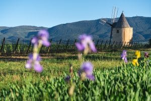 Moulin Sannes montagne luberon