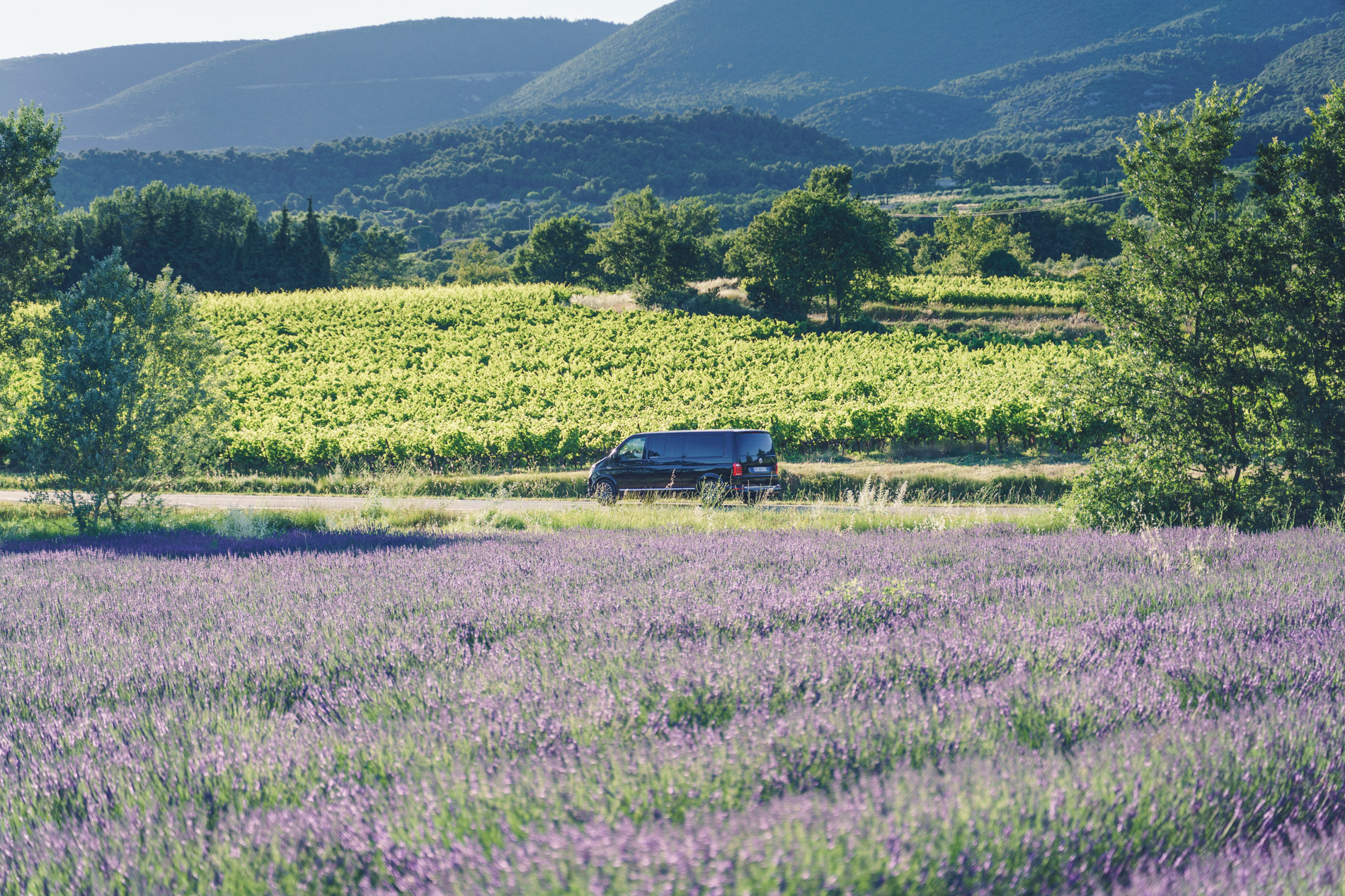 venir-dans-le-luberon
