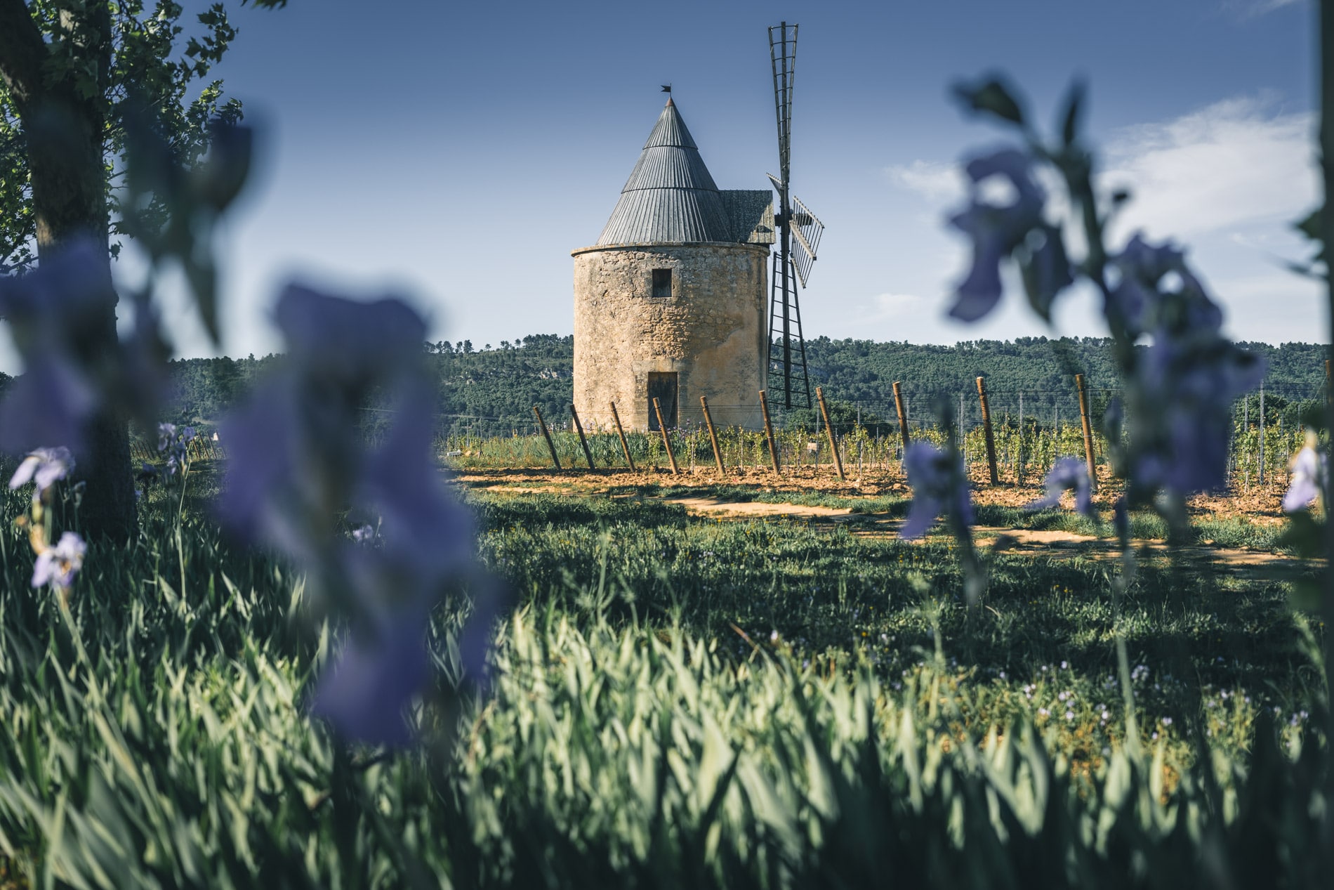 Le moulin de Sannes