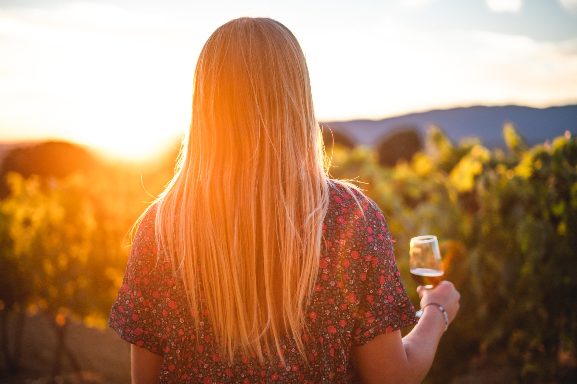 Sunsets Vignerons - Apero concerts