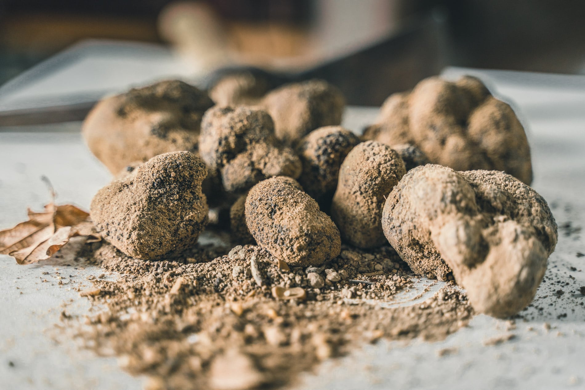 truffe noire