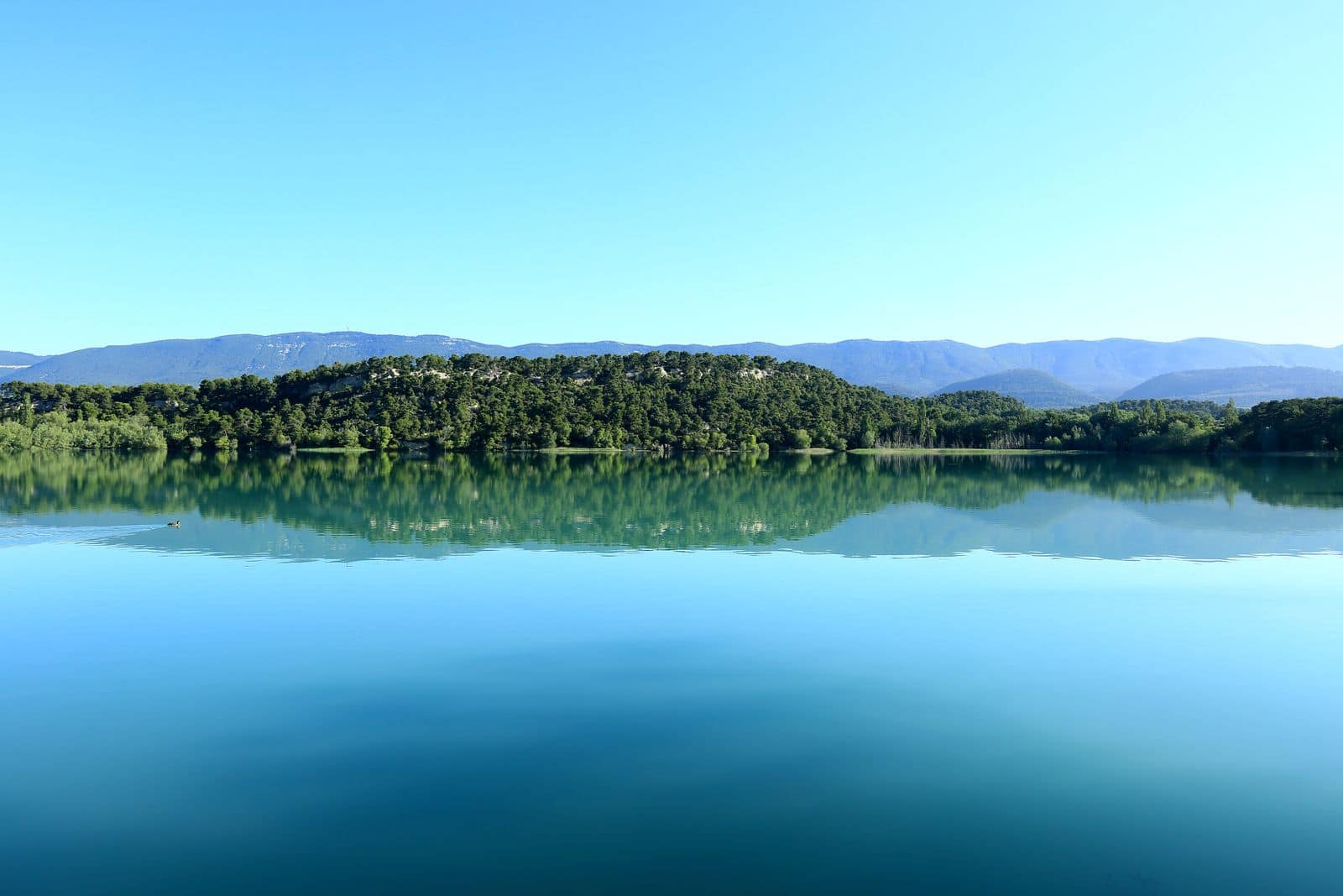 France, Vaucluse (84), parc naturel regional du Luberon, Cabrieres d'Aigues, etang de la Bonde