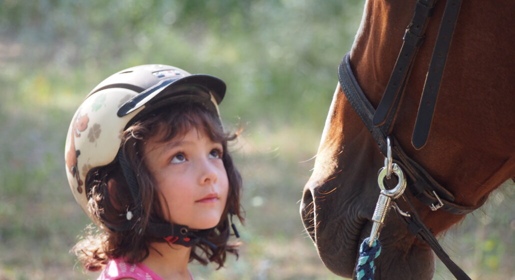 Cheval Enjeu
