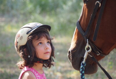 Cheval Enjeu