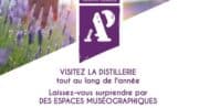 Atelier savon adulte_Sault