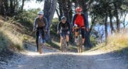 Gravel