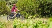 Gravel dans les vignes