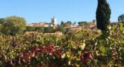 Le village vue des vignes