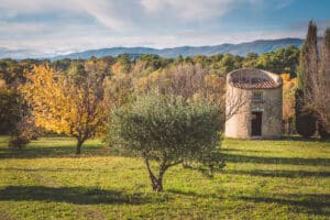 Été indien à Grambois, Sud Luberon