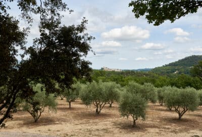 Maison Hi go – la ferme Hibride