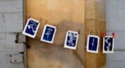 Initiation au cyanotype