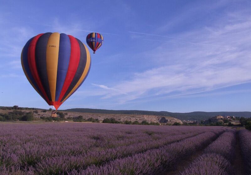 Ballon au dessus d'un champ de lavande