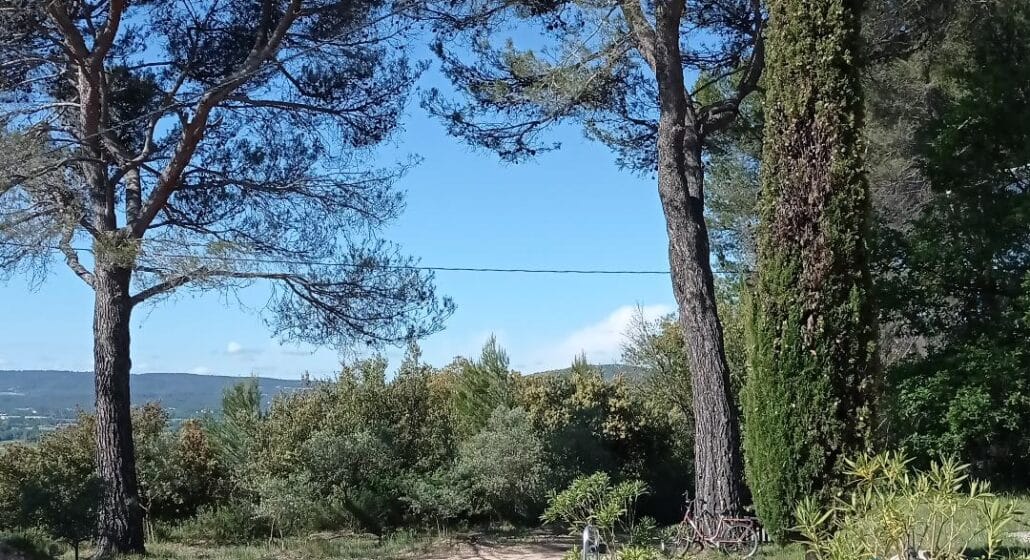 Les Cigales