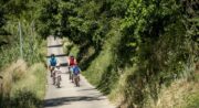 ANSOUIS – Entre terroirs et olives à vélo