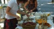 ANSOUIS – À vélo, entre terroirs et olives