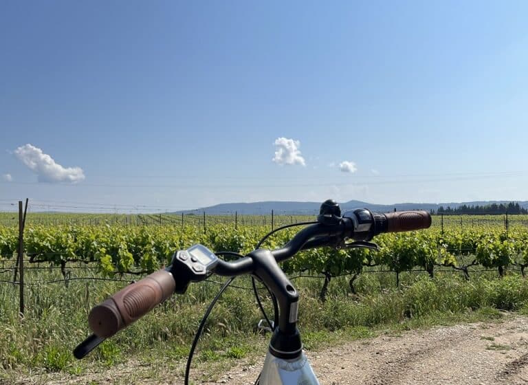 Location de vélo
