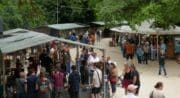 Fête de la Forge_Grambois
